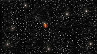venus telenoia